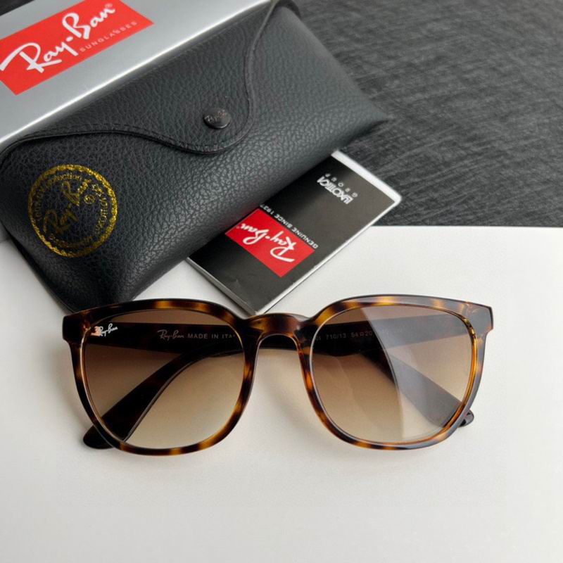 Rayban Glasses (126)